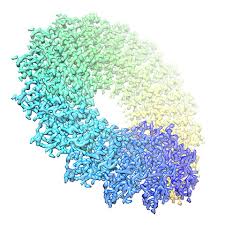 Structural Biology